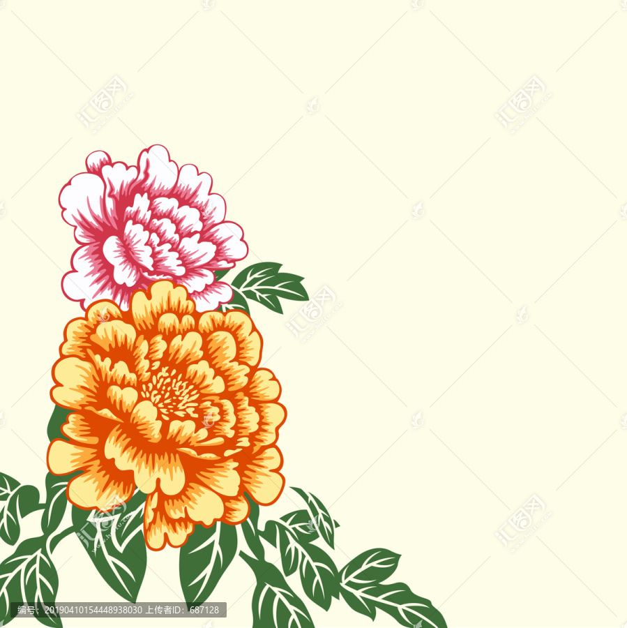 牡丹花