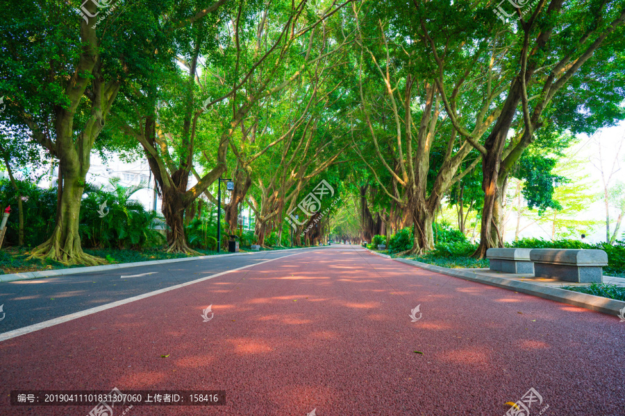 阳光小路公园跑道绿道