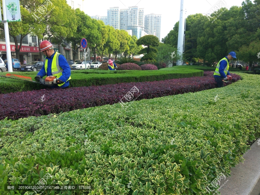 绿化