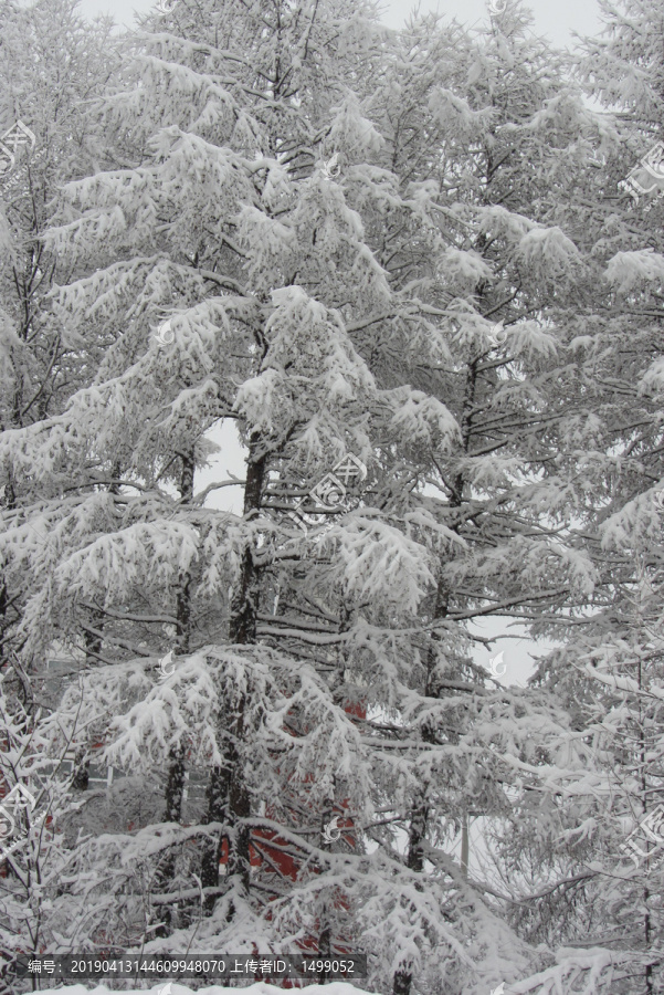 雪挂