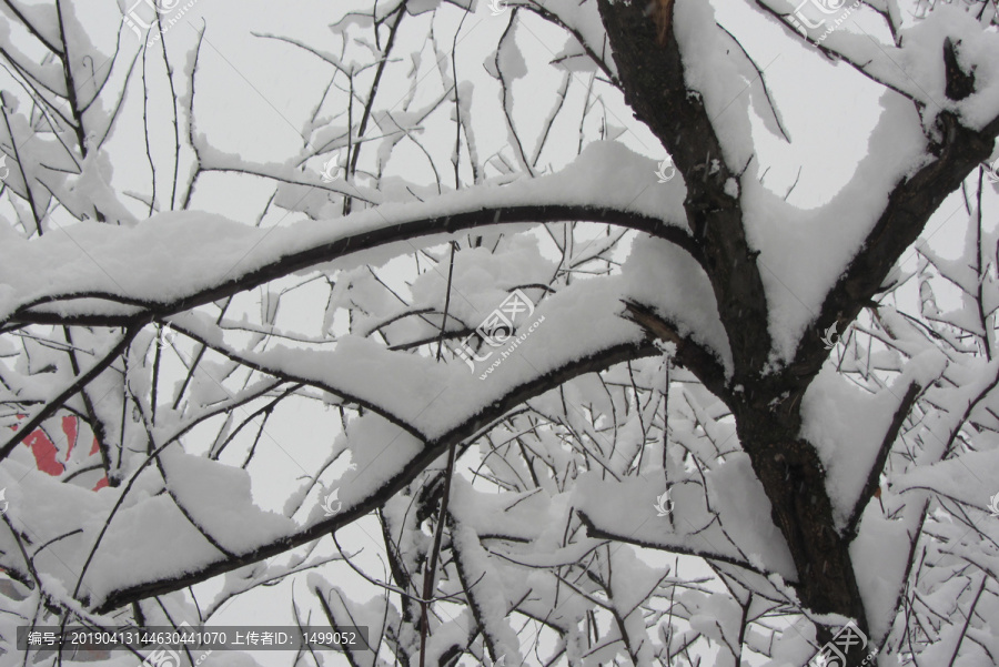 雪挂