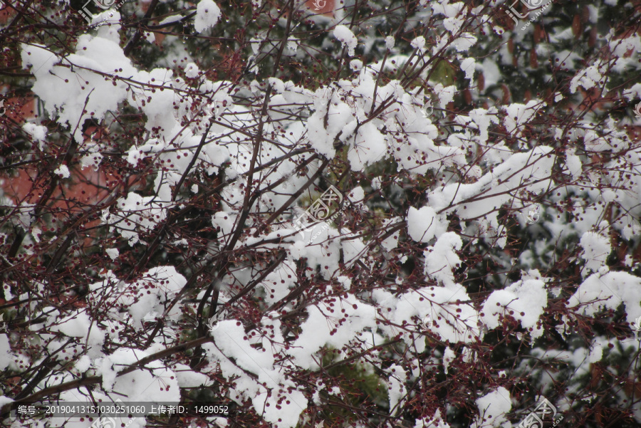 雪挂