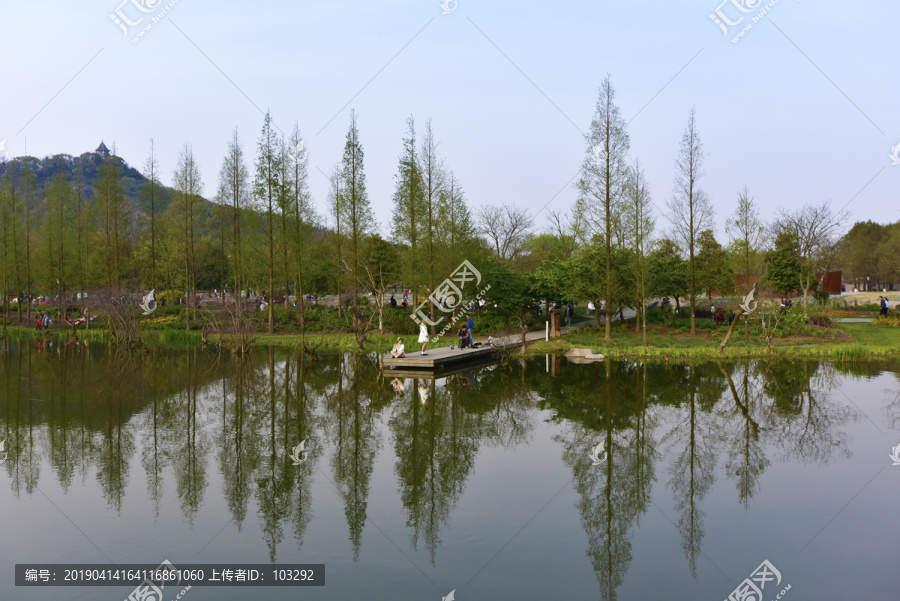 上海辰山植物园