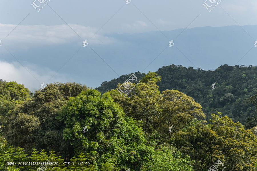 越南岘港巴拿山