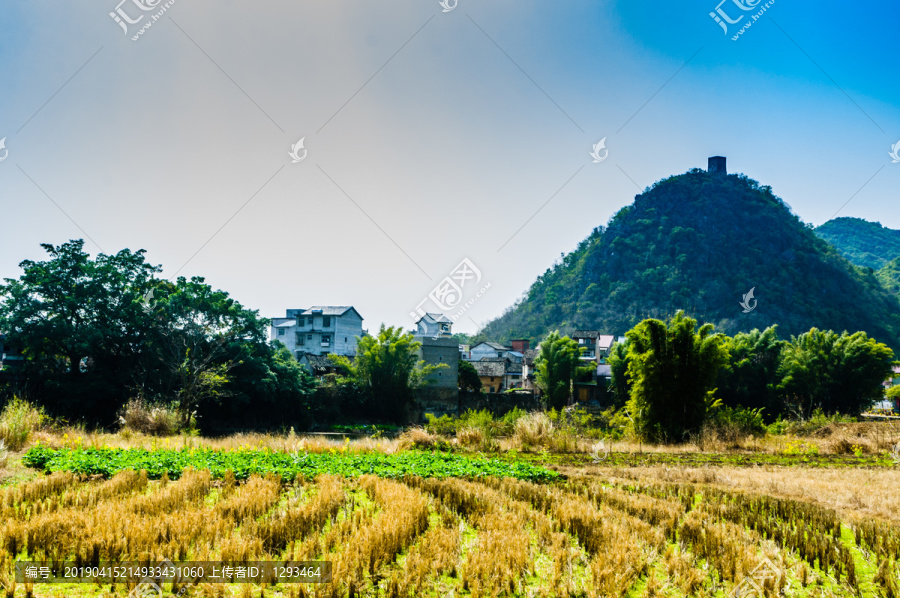 田园风光