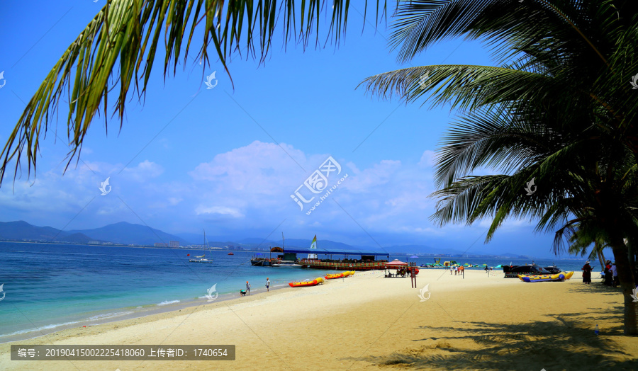 大海椰树沙滩