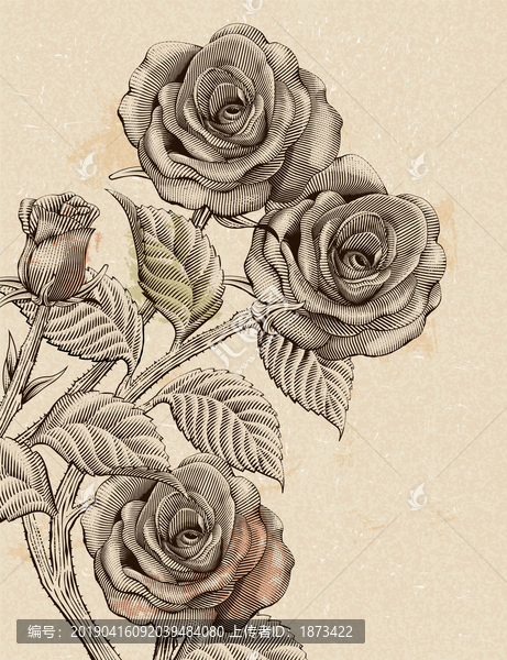 玫瑰花装饰手绘背景