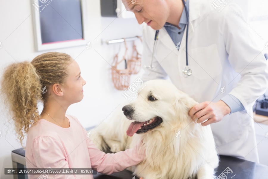 兽医检查犬耳及其主人