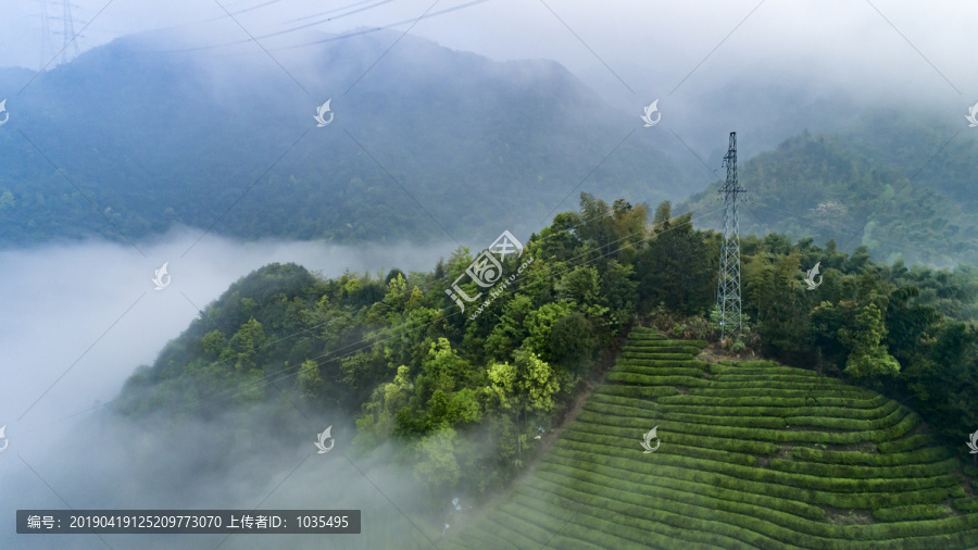 高山茶园