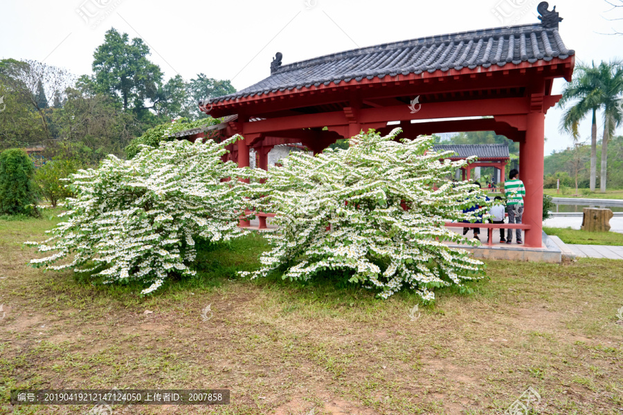 华南植物园