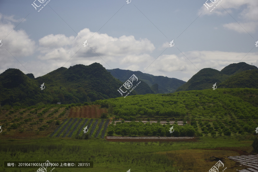 美丽风景