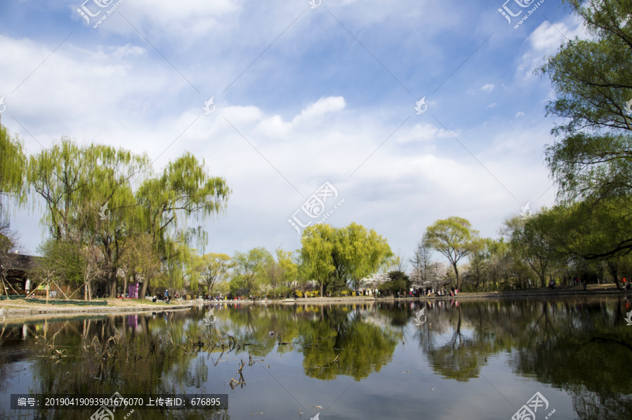 岸上春色湖中影