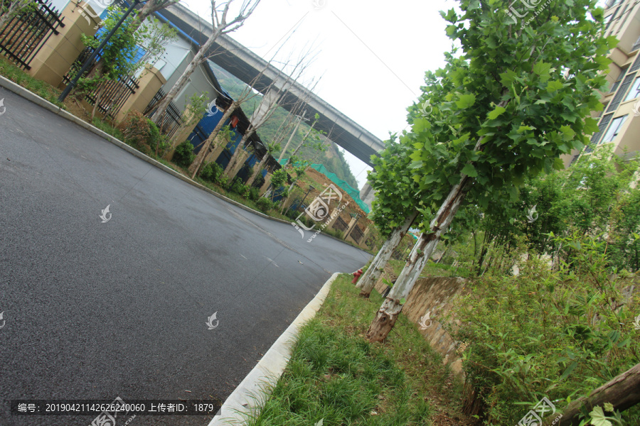 住宅小区绿道马路图片