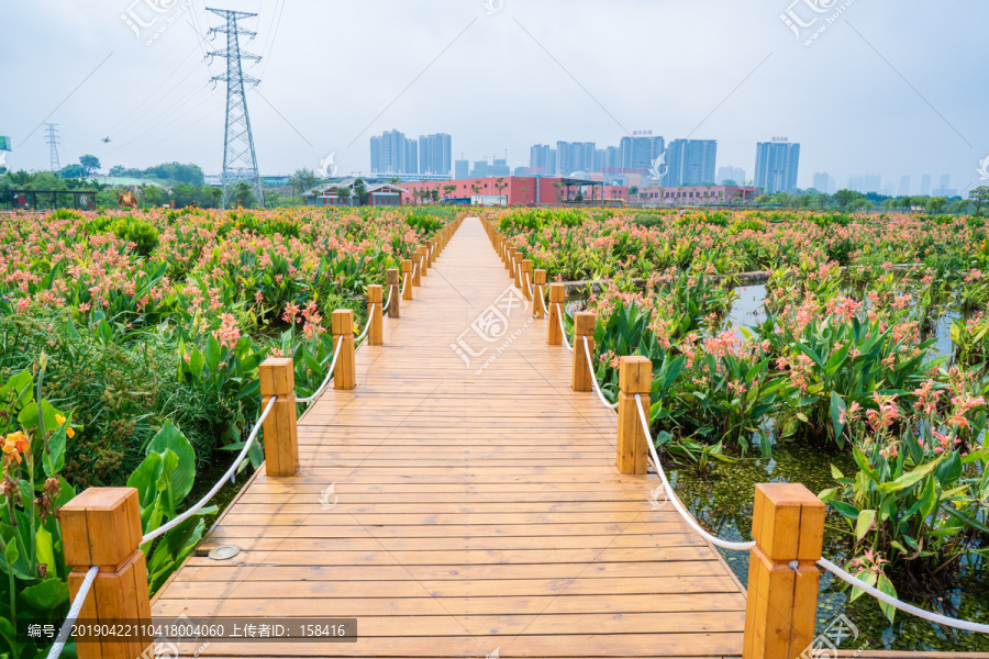 南宁那考河湿地公园木板路