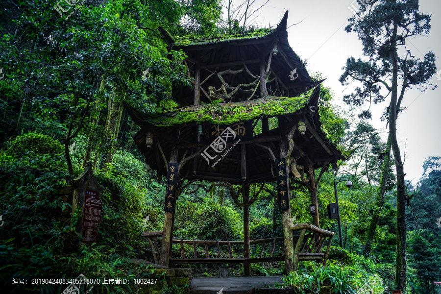 青城山雨亭