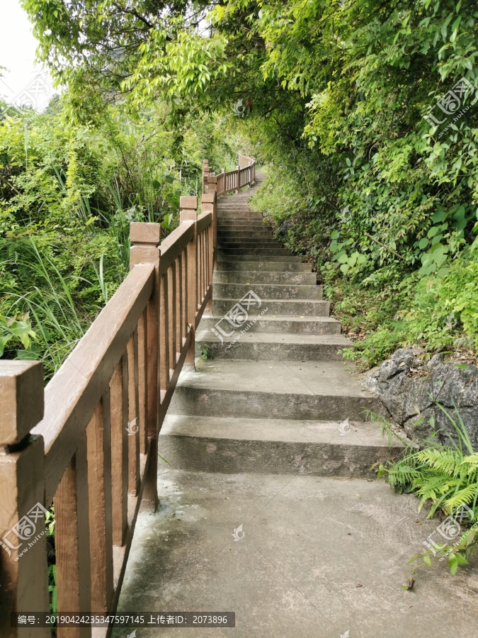 登山道