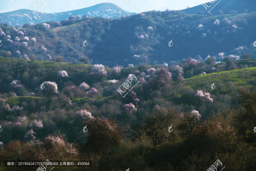 山野