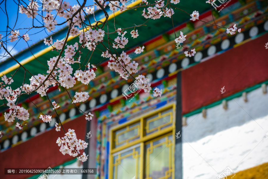 林芝桃花寺院桃花世外桃源