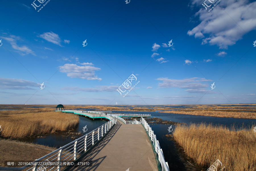 大庆湿地