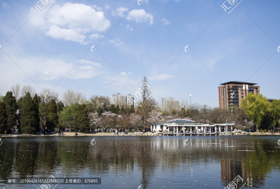 岸上花开湖中春