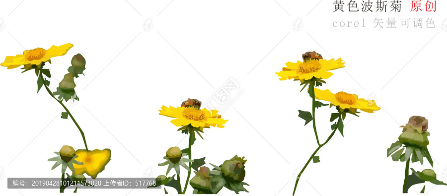 黃色波斯菊水彩