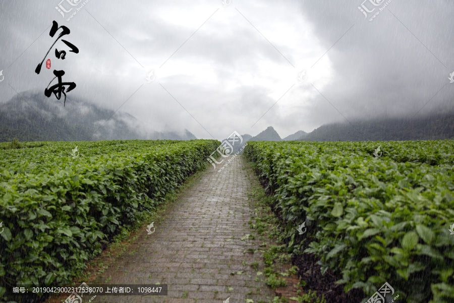 谷雨