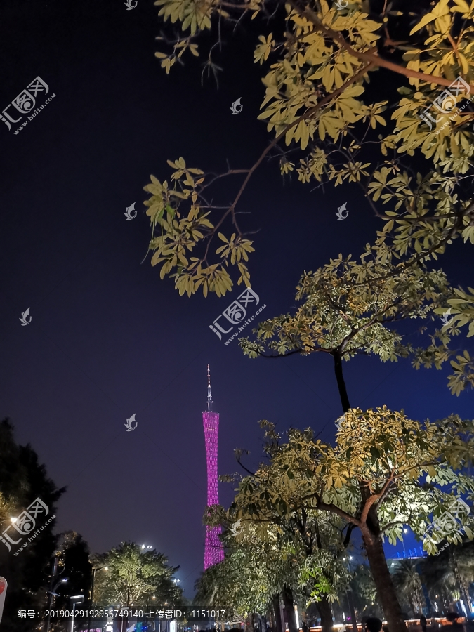 广州塔夜景