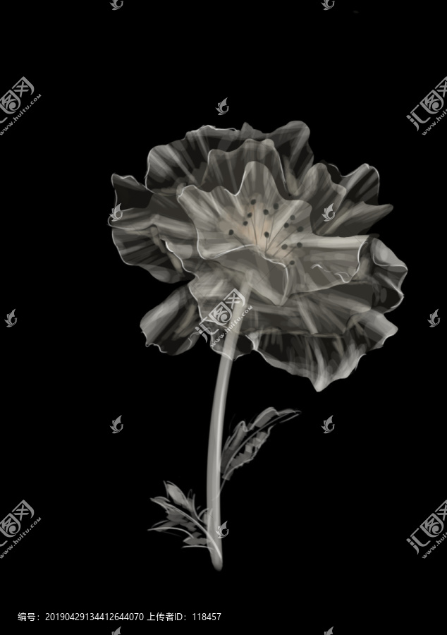 網(wǎng)花透明花