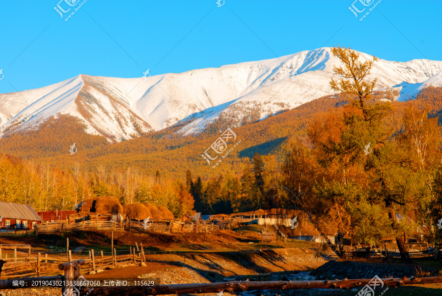 新疆白哈巴喀纳斯风景