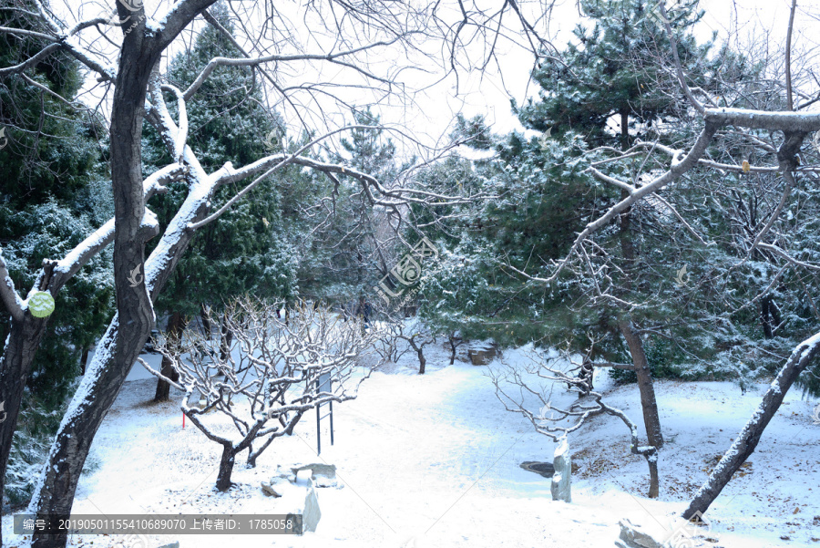 雪景