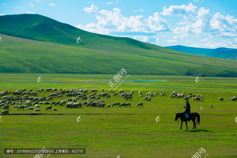 丘陵草原骑马牧羊