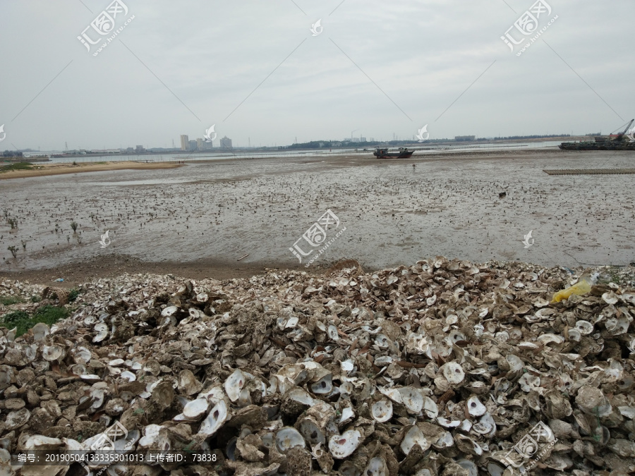 浅海沙滩