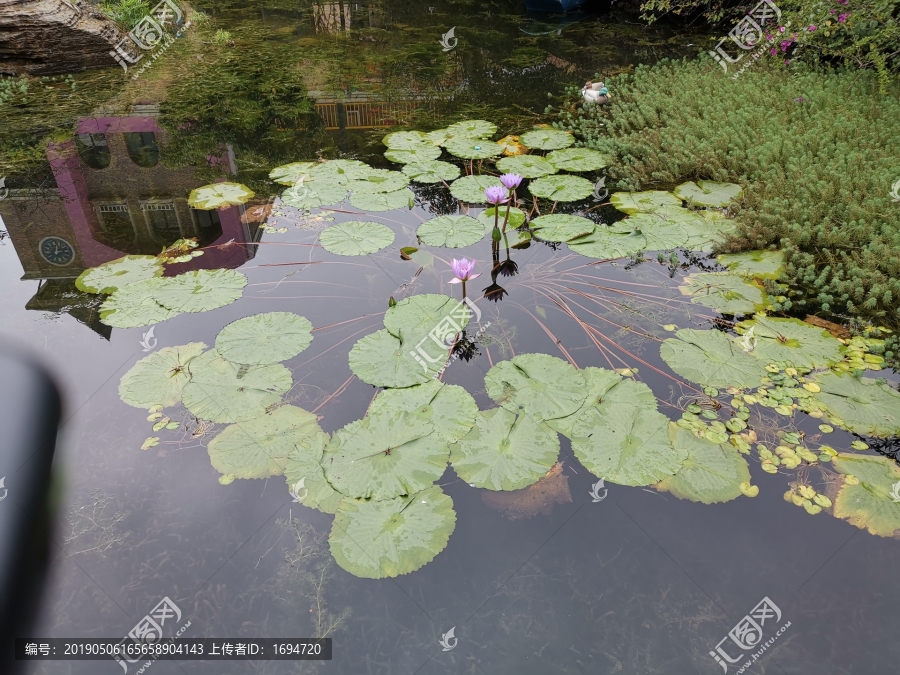 水景