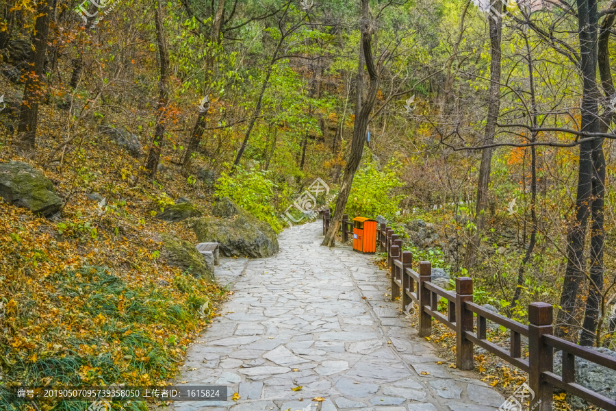 山林步道高清大图