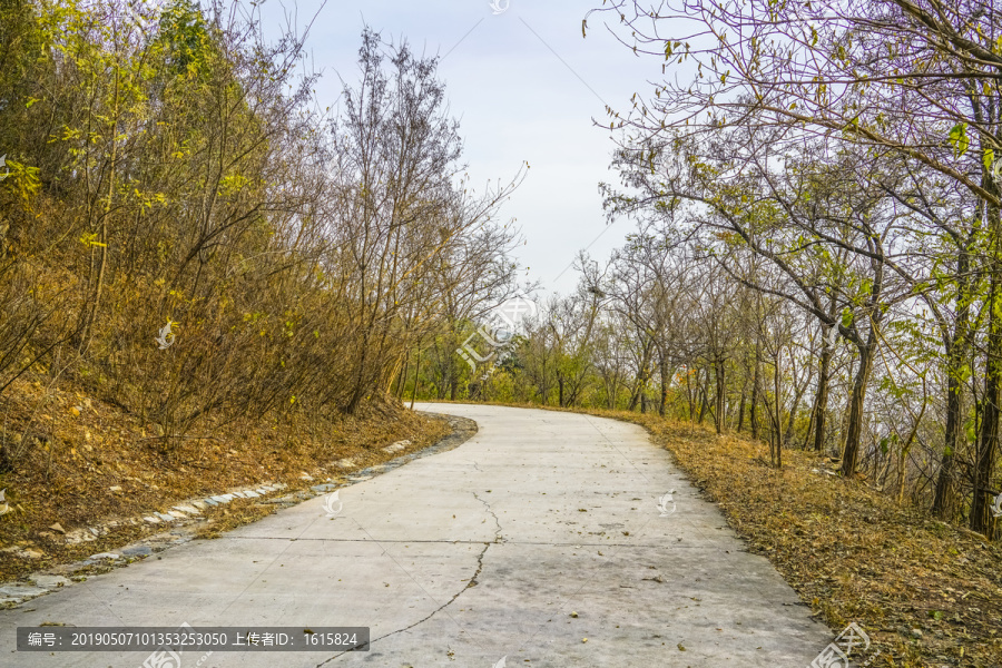 盘山公路高清大图