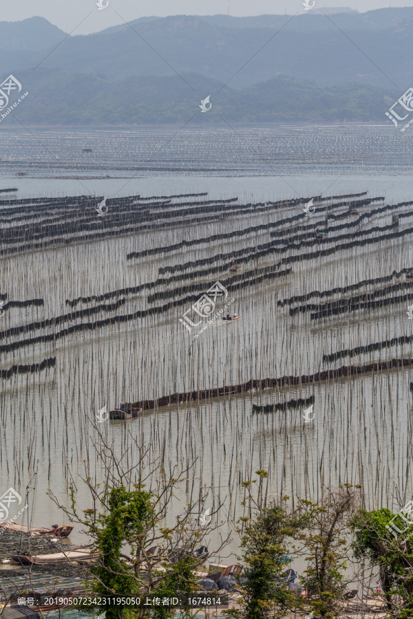 霞浦