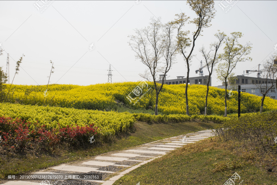 田野间