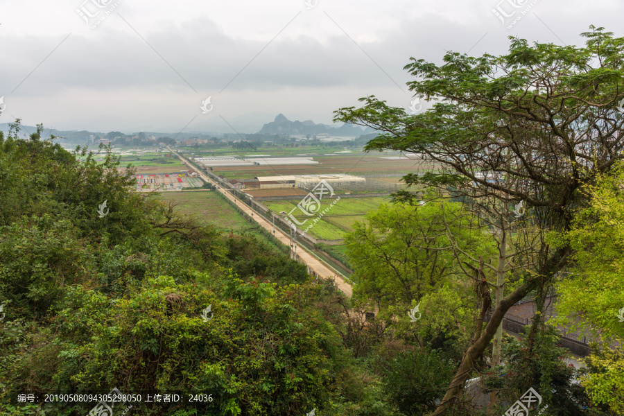 广西武鸣田野风光