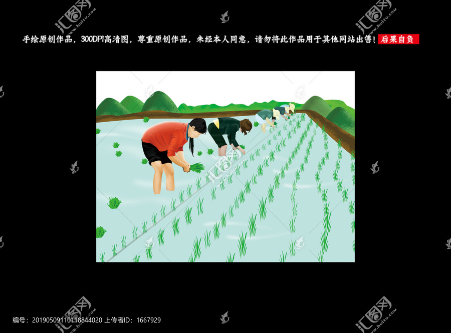 插秧人農(nóng)忙插秧稻谷插畫