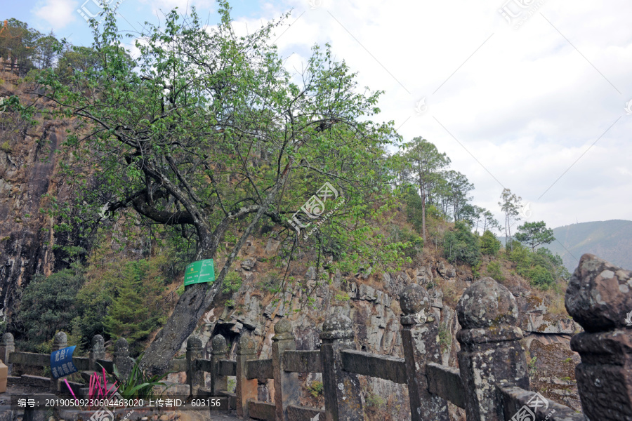 云龍虎山