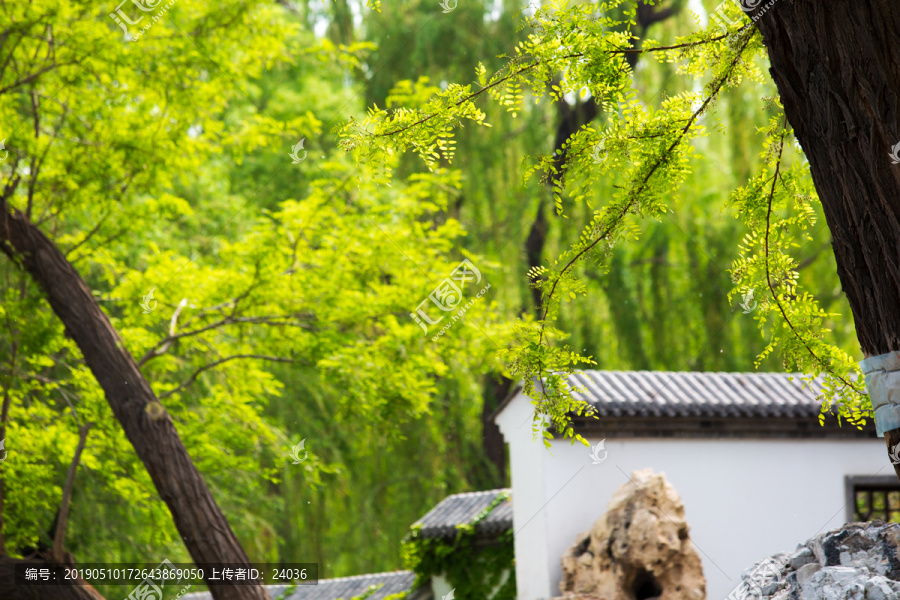 北京陶然亭公园园林景观一角