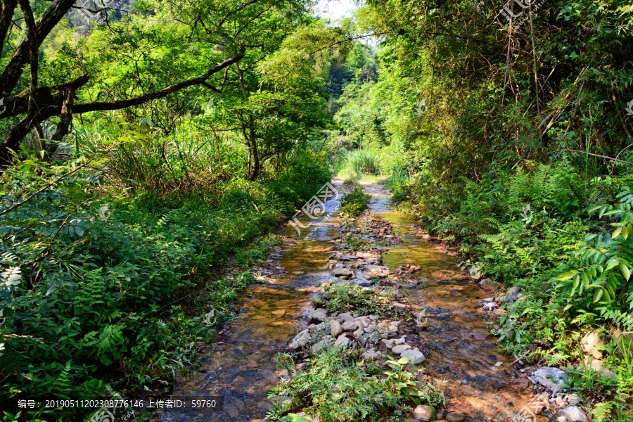 山林小路