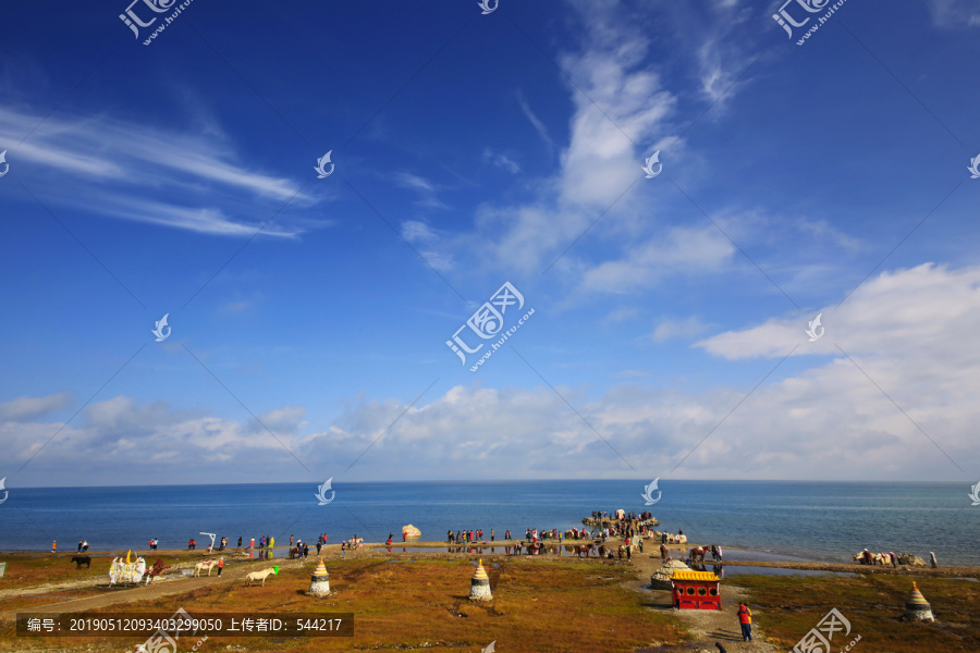 青海留念油菜花田园美景