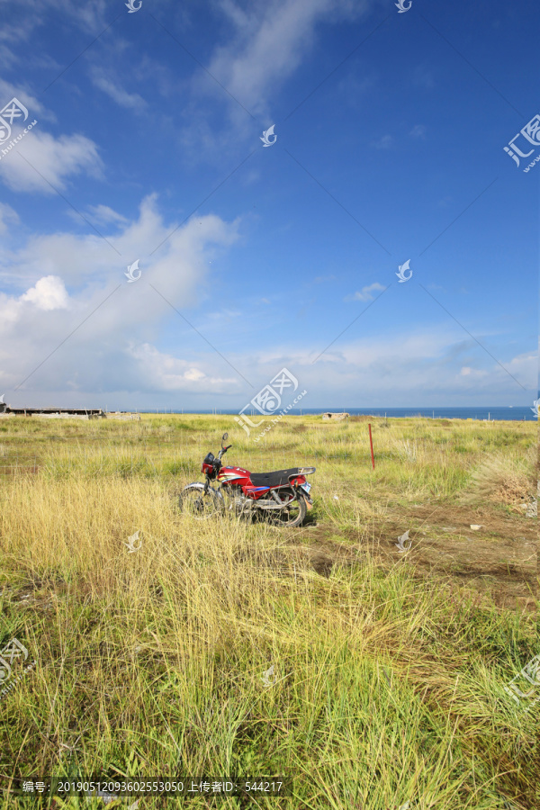 青海留念油菜花田园美景