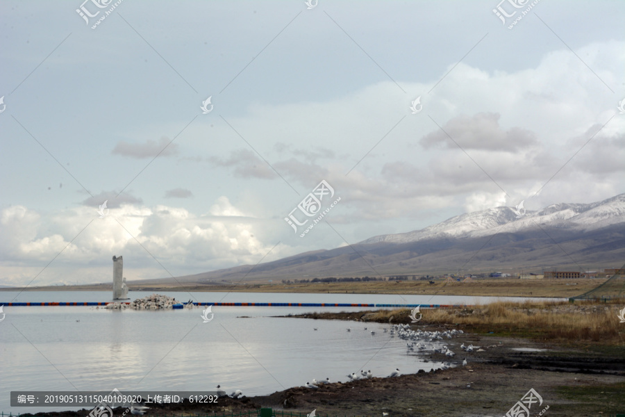 青海湖风景