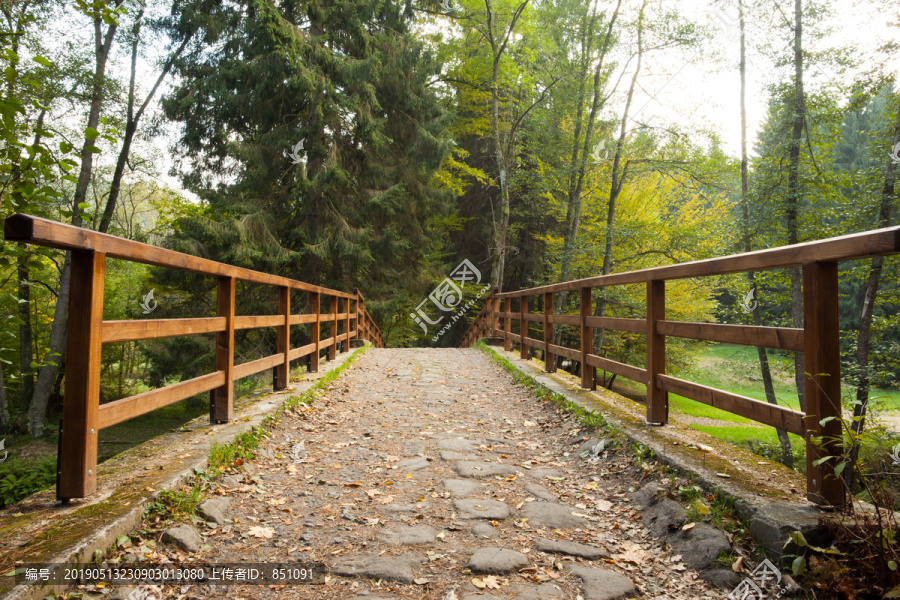 有栏杆通向森林的桥