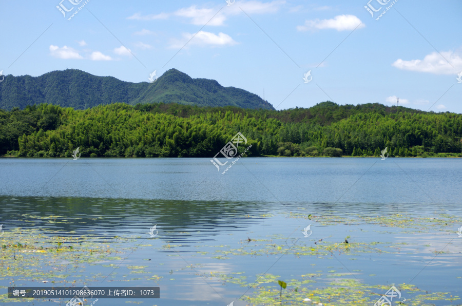 遠山