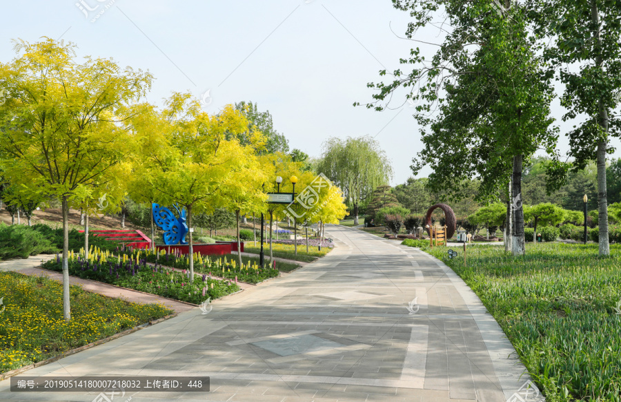 世界花卉大观园景观大道