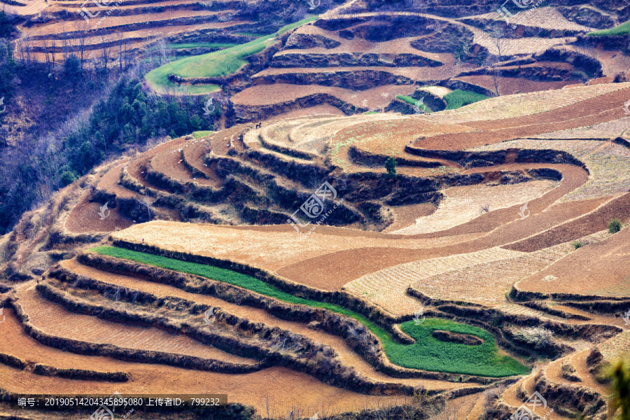 云南,东川红土地