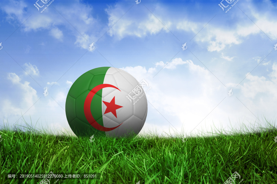 阿尔及利亚足球在蓝天下的草地上